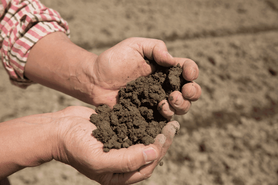 alluvial-soil-definition-features-characteristics-of-alluvial-soil