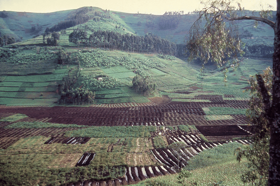 What Is The Characteristics Of Alluvial Soil