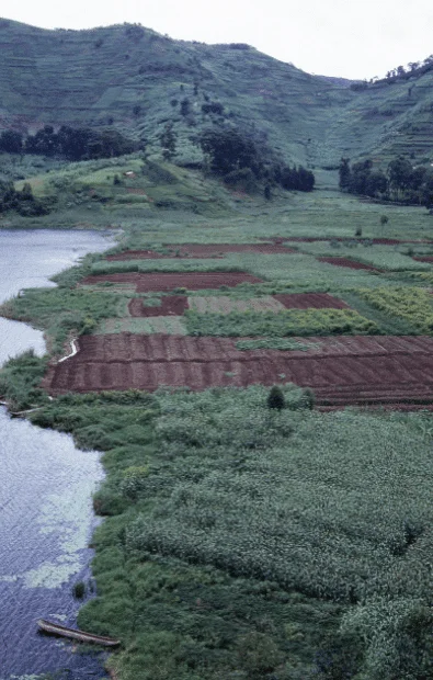 Alluvial Soil: Definition, Features & Characteristics of alluvial soil in India 6 Characteristics of Alluvial Soil