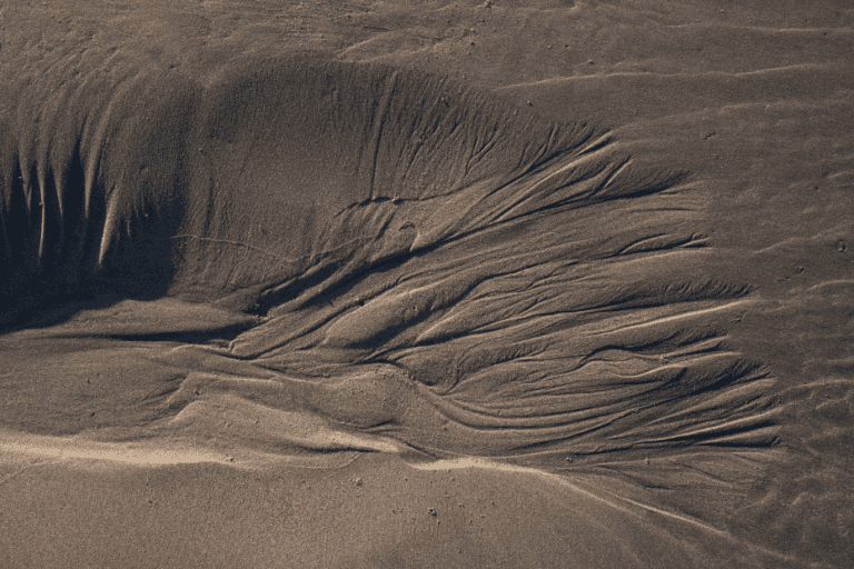 Features of alluvial soil