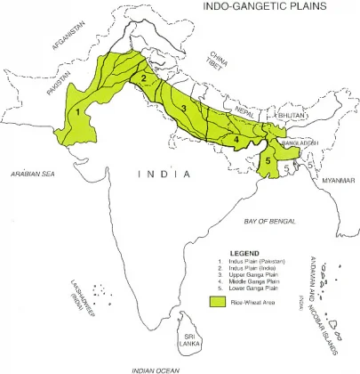 Alluvial Soil: Definition, Features & Characteristics of alluvial soil in India 5 The Indo-Gangetic plains