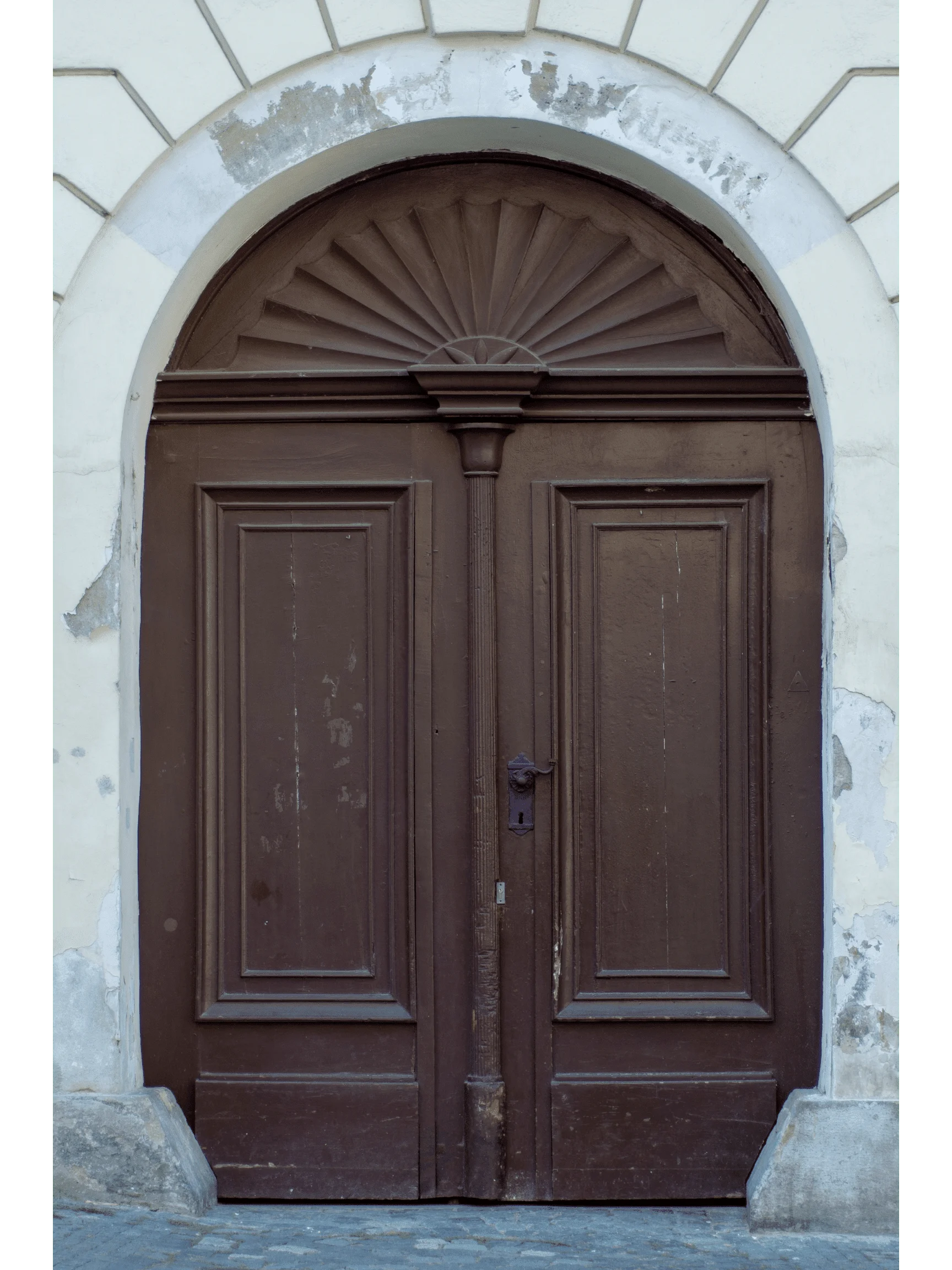 wooden door design