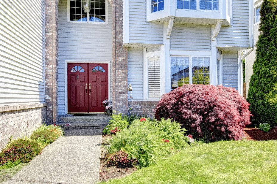 modern double door designs for main door