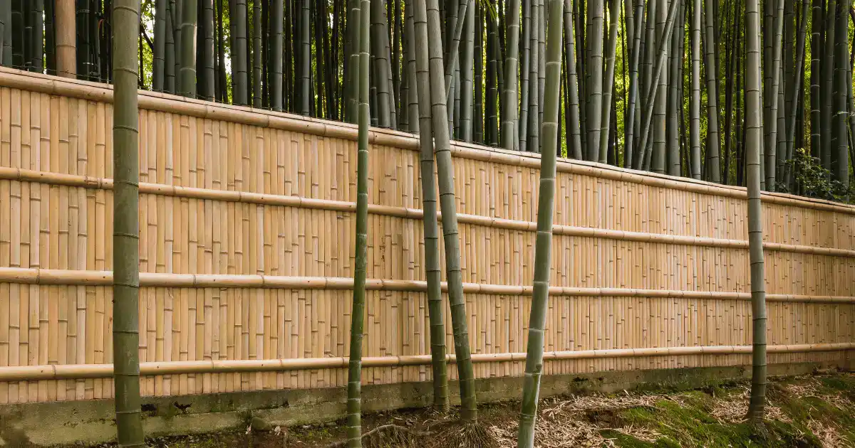 Install Bamboo Fence
