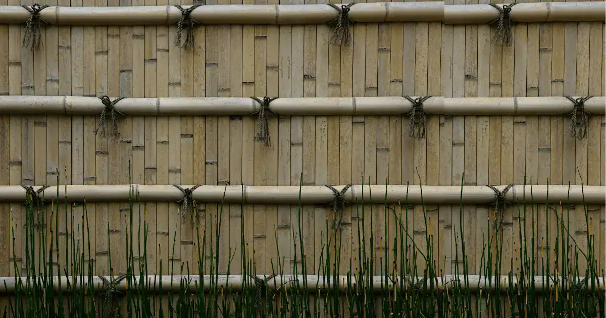 Using bamboo wall fence
