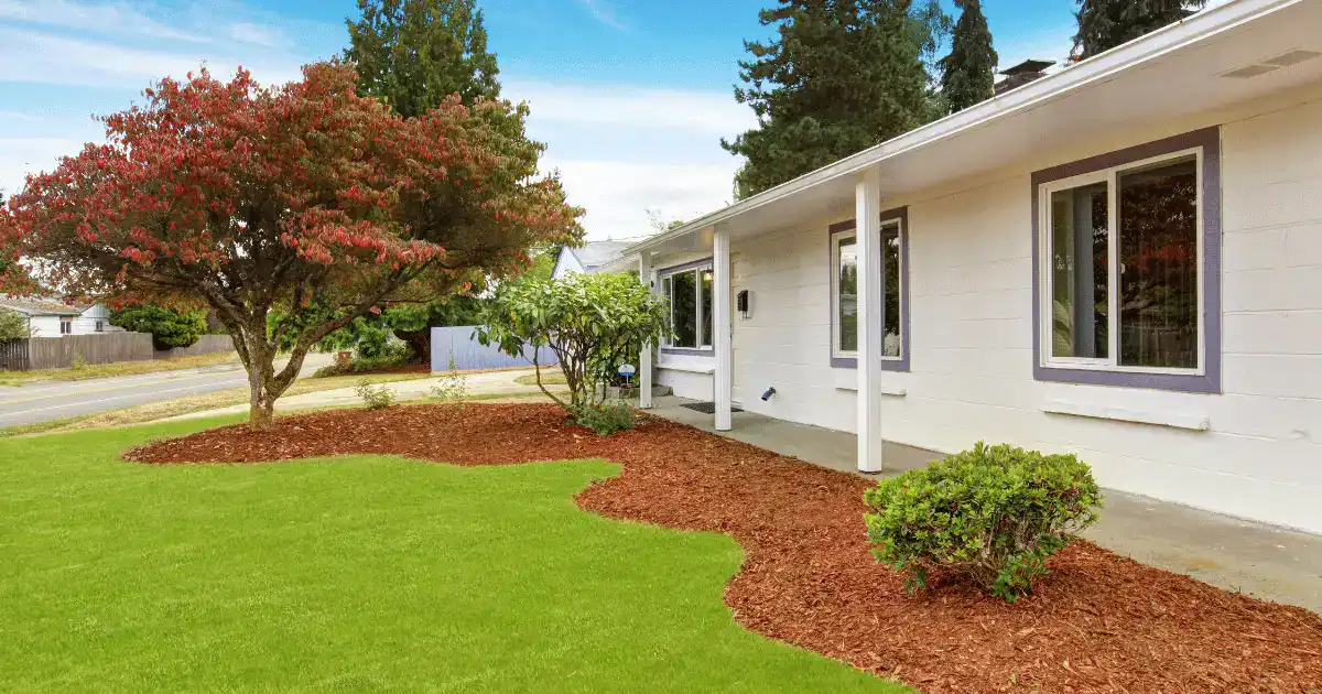 low cost modern single floor house design